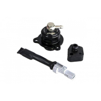 [Turbosmart Blow Off Ford Fiesta 1.6L EcoBoost Plumb Back]