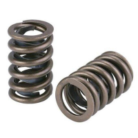 [Valve spring kit BMW BMW S65 32szt]