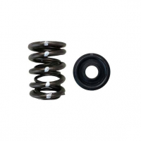 [Brian Crower Dual Spring/Steel Alloy Retainer Kit (Honda H22 - High Mileage Street) BC0030S]