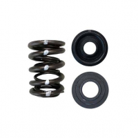 [Brian Crower Dual Spring/Steel Retainer/Seat Kit (Honda C30A/C32B Nsx) BC0090S]