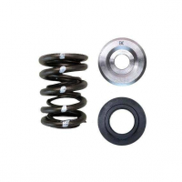 [Brian Crower Dual Spring/Titanium Retainer Kit/Seat Kit (Toyota 2JZgte/Lexus 2JZGE/1Jzgte) BC0310]