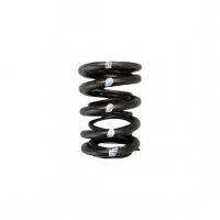 [Brian Crower Valve Springs - Dual (Honda H22, Nissan SR20Ve) BC1030]