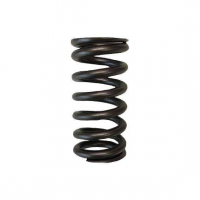 [Brian Crower Valve Springs - Single (Honda L15) BC1089]