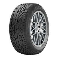 [Riken Snow 195/65 R15 91H]