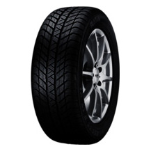 [Obr.: 10/14/18/1-platin-rp-70-winter-205-55-r16-91h-1695927289.jpg]