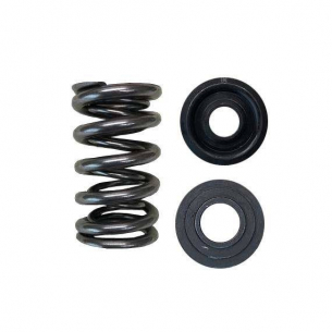 [Obr.: 11/66/34/7-brian-crower-dual-spring-steel-retainer-seat-kit-honda-k20a-k20z-f20c-f22c-high-lift-spring-bc0040ts-1761300457.jpg]