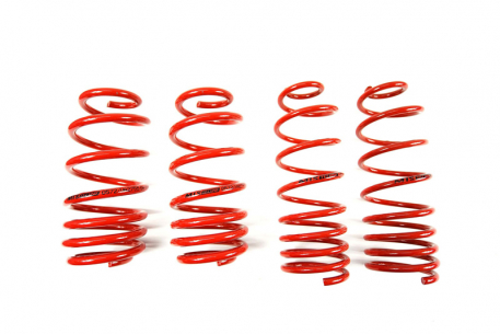 [Obr.: 95/46/74-znizene-pruziny-performance-springs-mtsxau210-1686848122.jpg]