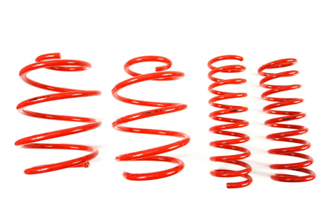 [Obr.: 95/50/43-znizene-pruziny-performance-springs-mtsxbm113-1686848128.jpg]