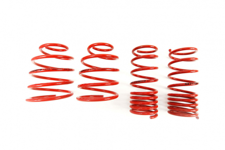 [Obr.: 95/56/06-znizene-pruziny-performance-springs-mtsxfo025-1686848143.jpg]