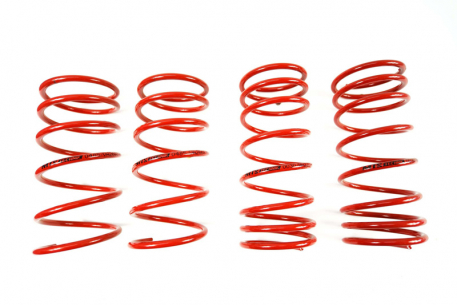 [Obr.: 95/70/25-znizene-pruziny-performance-springs-mtsxsk097-1686848189.jpg]