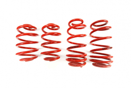 [Obr.: 95/73/11-znizene-pruziny-performance-springs-mtsxvw238-1686848202.jpg]