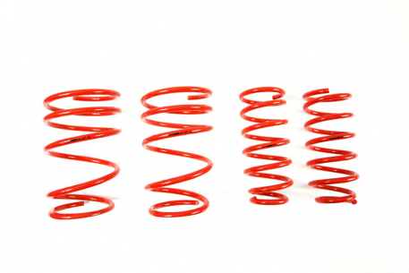 [Obr.: 95/76/52-znizene-pruziny-performance-springs-mtsxvw086-1686848199.jpg]